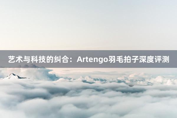 艺术与科技的纠合：Artengo羽毛拍子深度评测