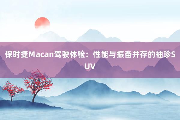 保时捷Macan驾驶体验：性能与振奋并存的袖珍SUV